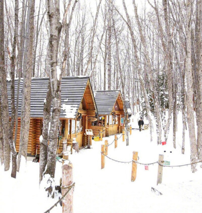 这个冬天，带上喜欢的人一起去北海道看雪吧