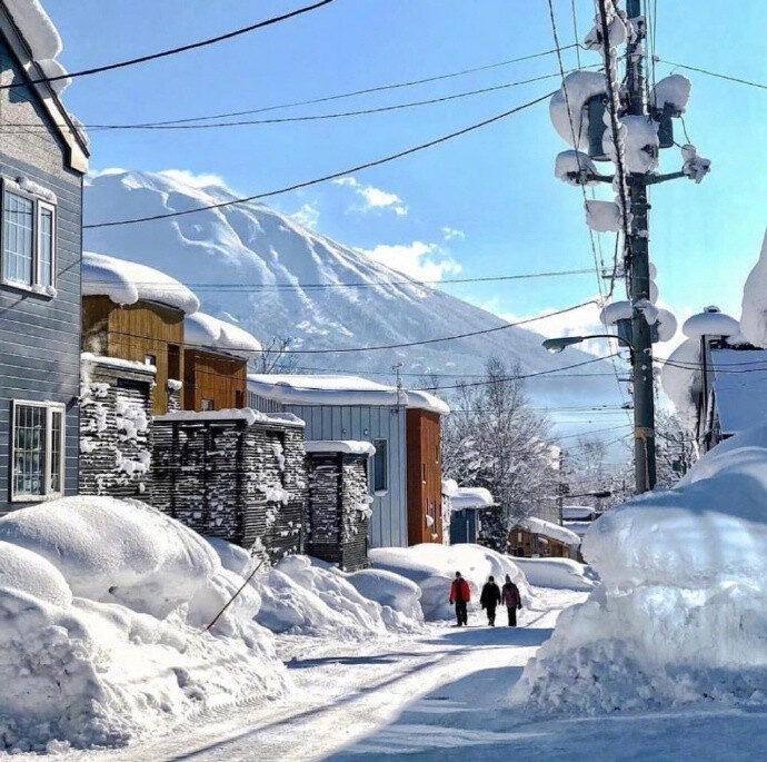 这个冬天，带上喜欢的人一起去北海道看雪吧