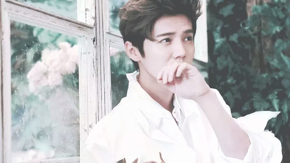 呆萌傻狍子 鹿晗 Luhan #壁纸 #头像