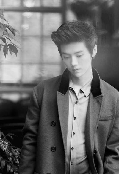 呆萌傻狍子 鹿晗 Luhan #壁纸 #头像