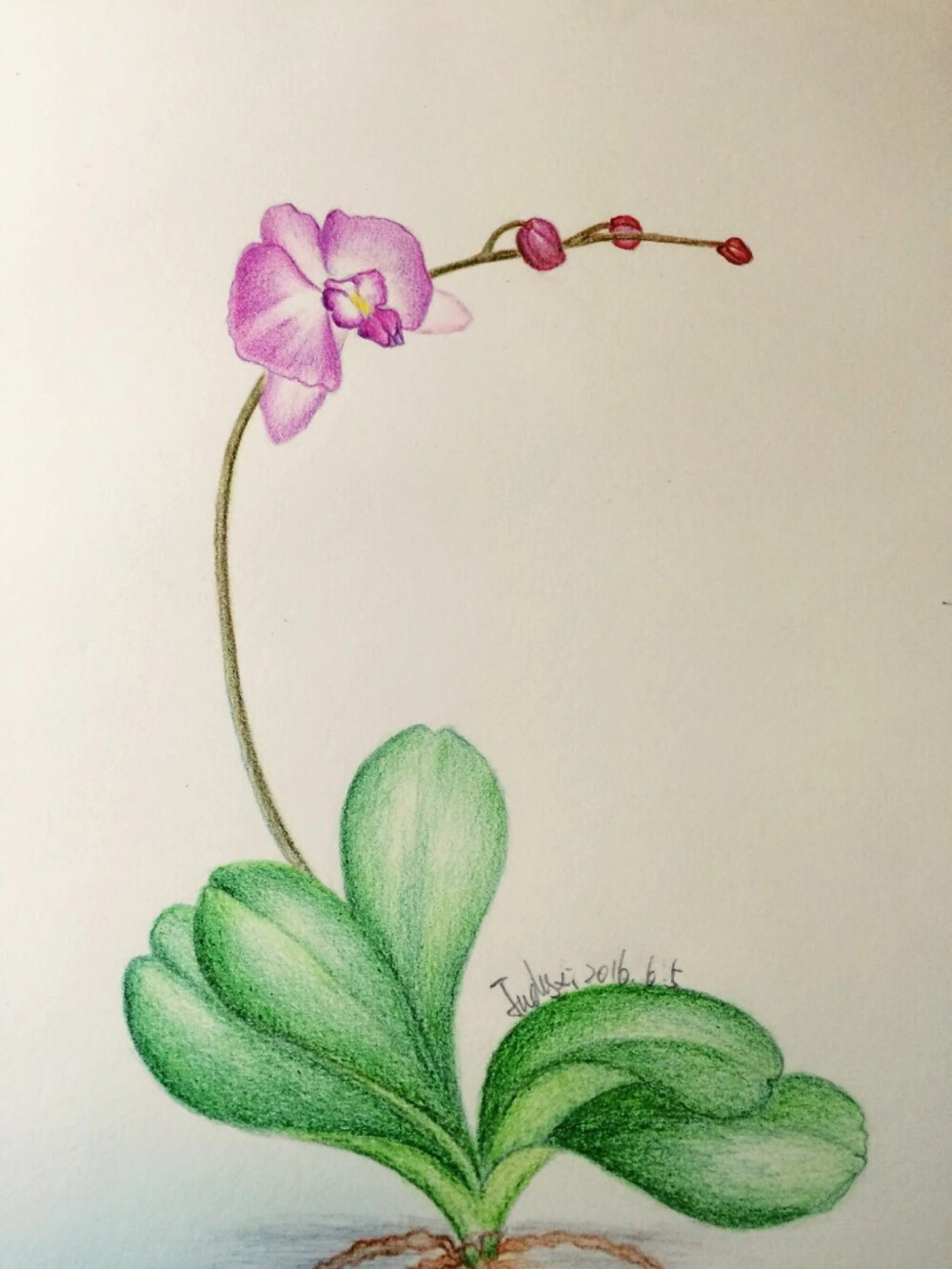 儿童画