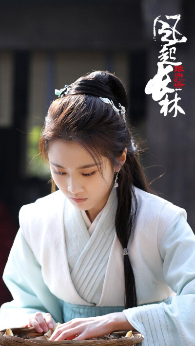 琅琊榜之风起长林 林奚 张慧雯