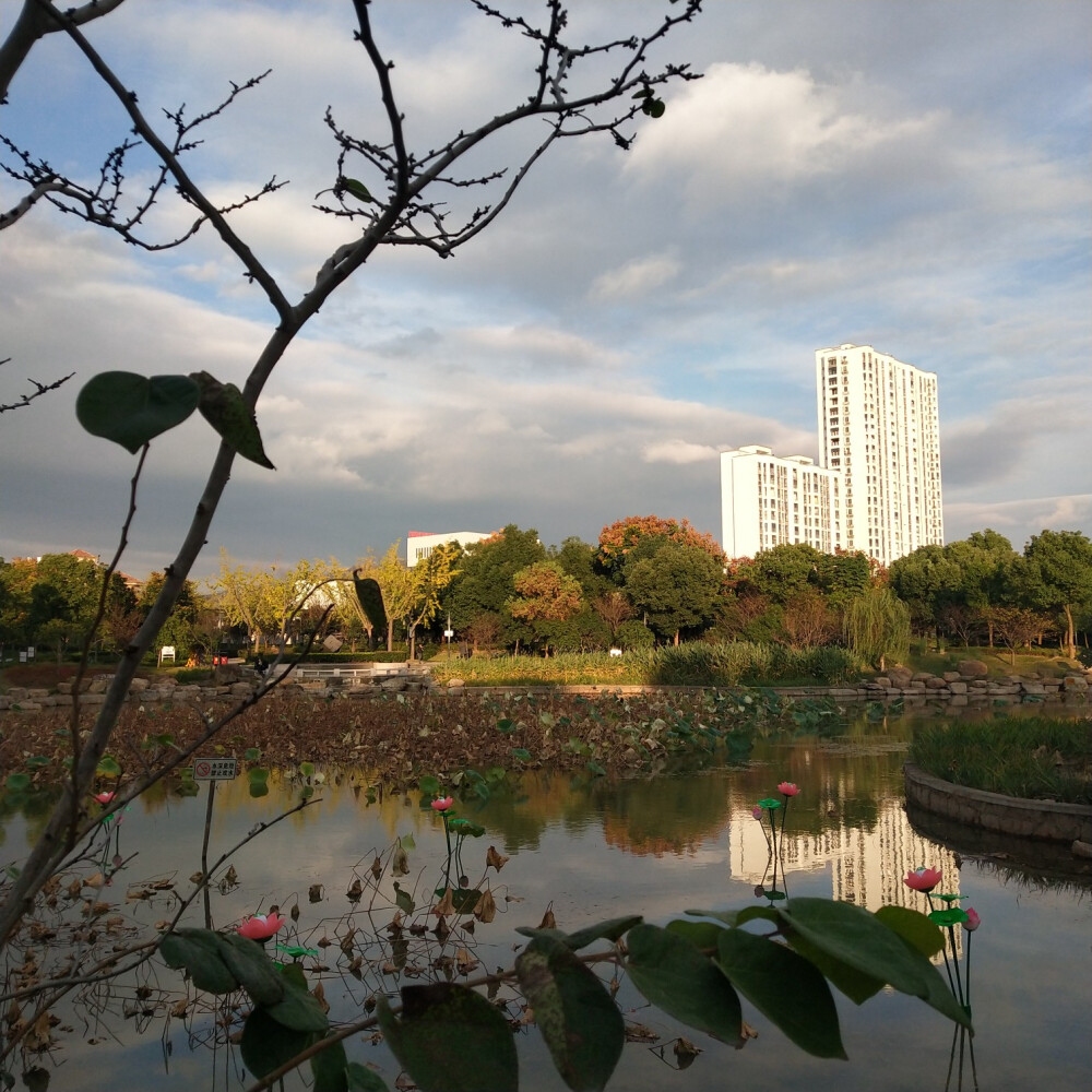 晴空