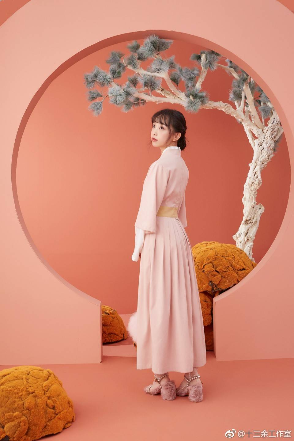 十三余小豆蔻儿
红楼幻梦
倚云