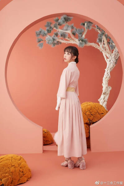 十三余小豆蔻儿
红楼幻梦
倚云