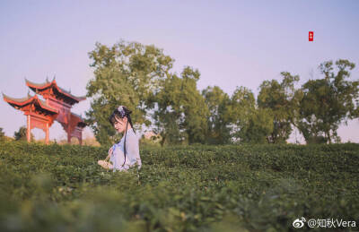 ‖采茶纪‖
" 婉桃素手轻翘，指间茶菁掉。"
出境：@ 大玲
摄影：@知秋Vera ?