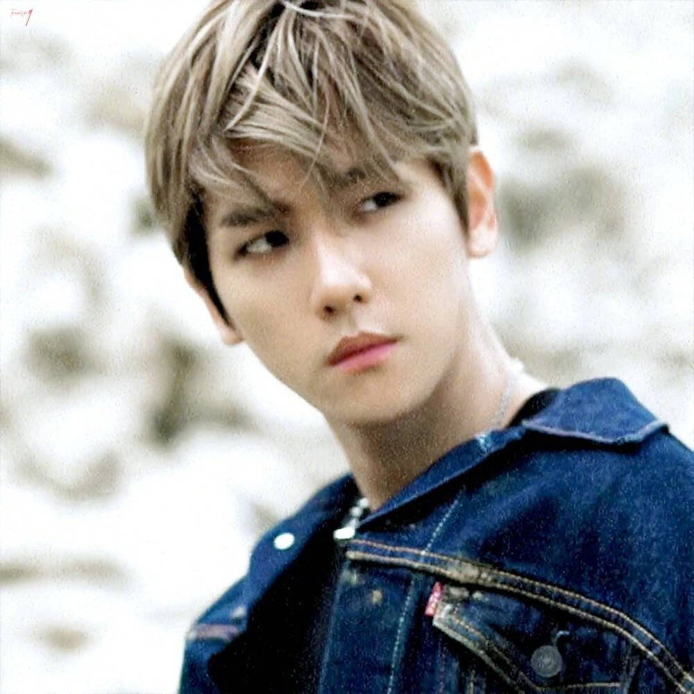 #边伯贤# #BAEKHYUN# #EXO#壁纸 背景 头像 锁屏 五辑 EXO The 5th Album DON'T MESS UP MY TEMPO