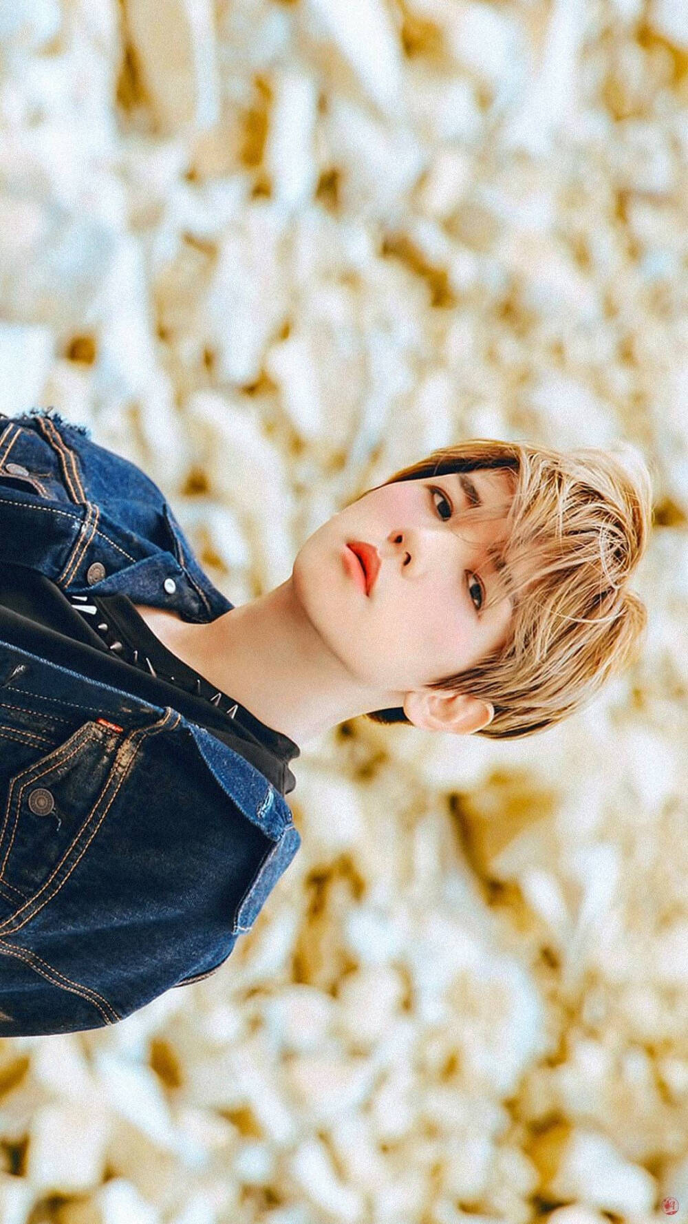 #边伯贤# #BAEKHYUN# #EXO#
壁纸 背景 头像 锁屏 五辑
EXO The 5th Album DON'T MESS UP MY TEMPO