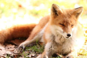 感觉自己萌萌哒