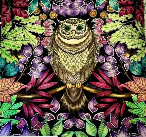 秘密花园