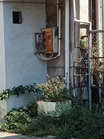 一个人流浪街头的日子，。