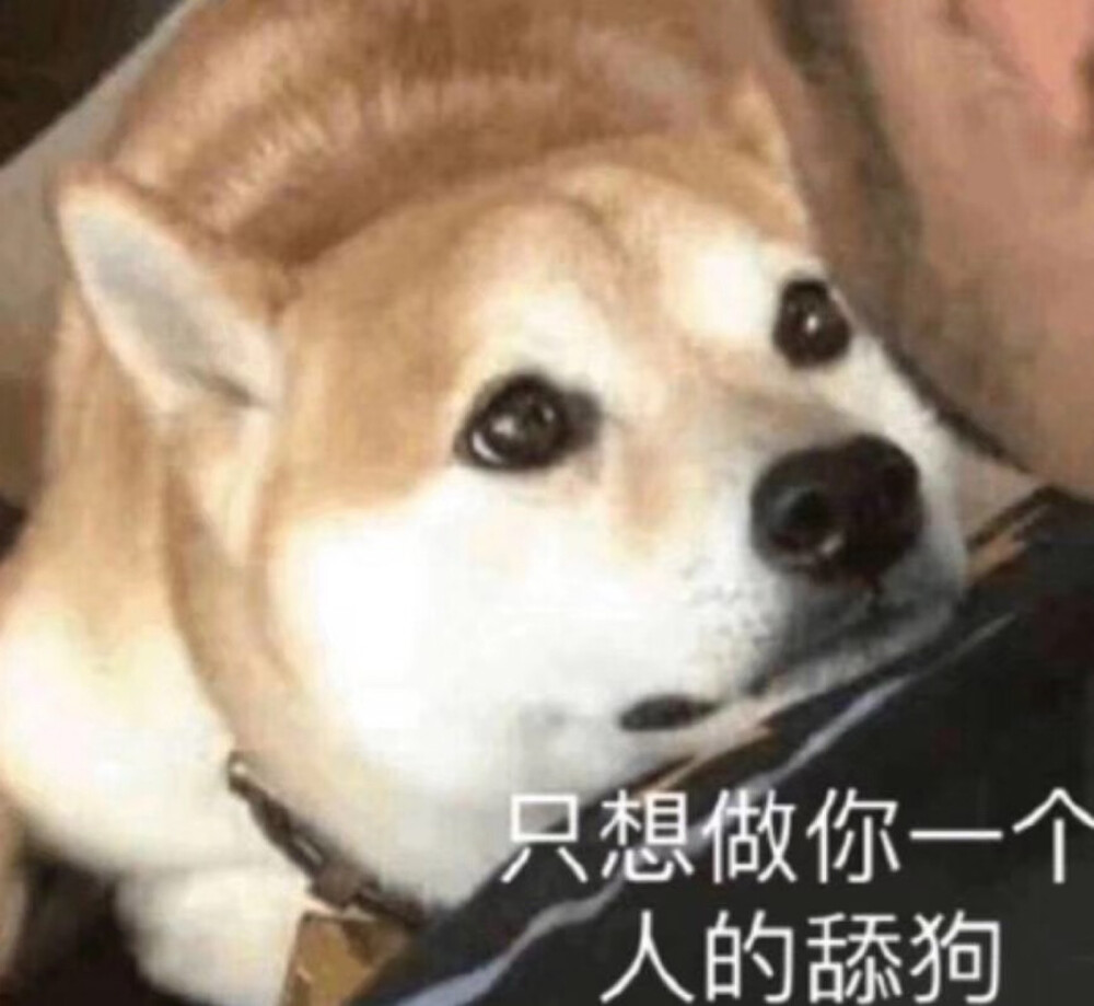 表情