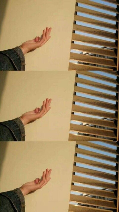 什么样的终点才配的上这一路的颠沛流离.