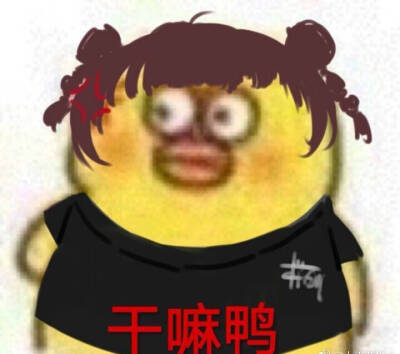 赖美云冲浪少女来妹晕