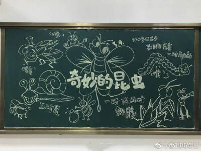 一个小学美术老师的日常