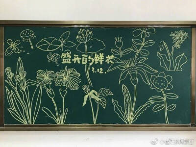 一个小学美术老师的日常