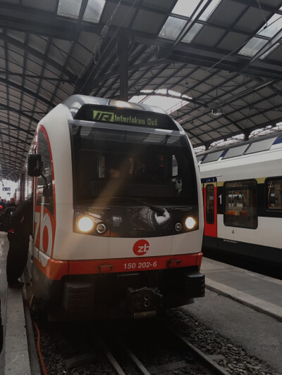 Kelly的世界掠影