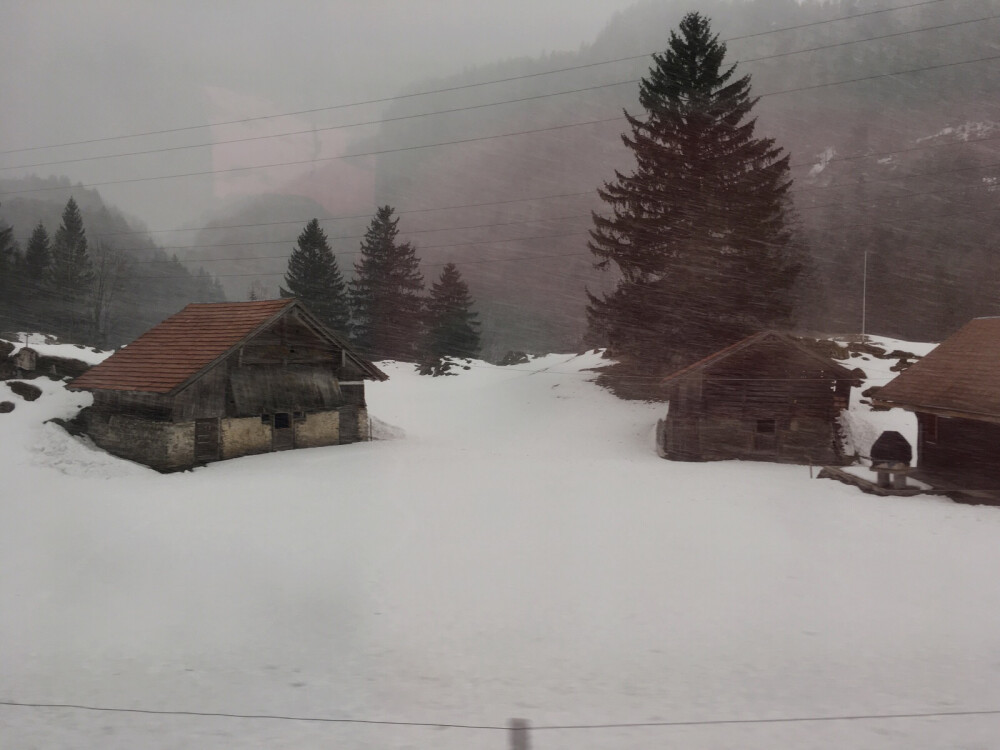 Kelly的世界掠影