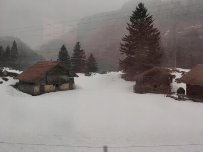 Kelly的世界掠影