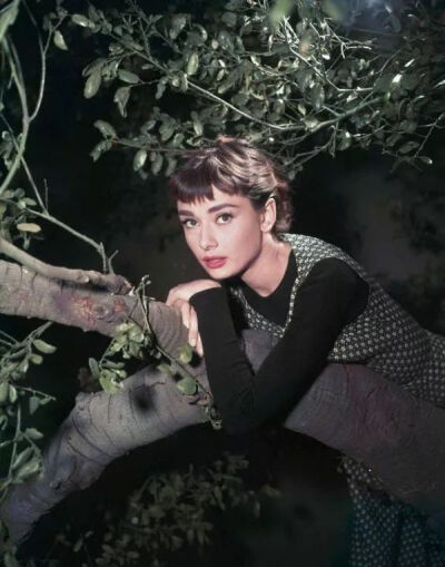 奥黛丽·赫本（Audrey Hepburn，1929年5月4日—1993年1月20日），出生于比利时布鲁塞尔，英国电影、舞台剧女演员