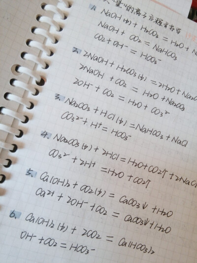 失踪人口回来了