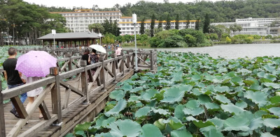 福建农大