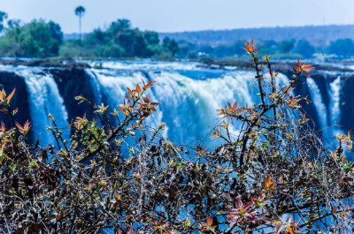 维多利亚瀑布(Victoria Falls)位于非洲南部赞比西河中游的巴托卡峡谷区，地跨赞比亚和津巴布韦两国，是世界最大的瀑布。 via：摄影师