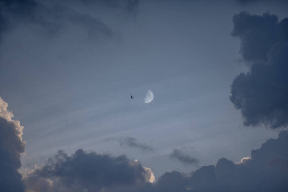 背景图 壁纸
p2后面的简直不要太好看 来自微博@空岛与影
我超爱的一位摄影博主