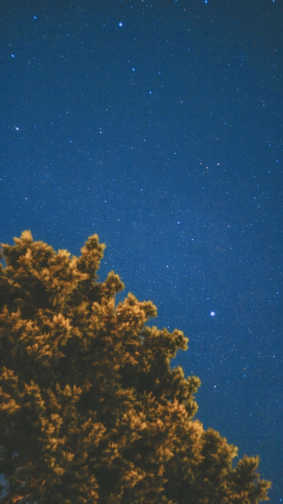 背景图 壁纸
p2后面的简直不要太好看 来自微博@空岛与影
我超爱的一位摄影博主