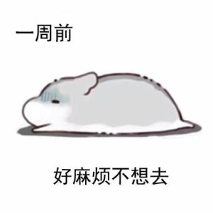 内容太过于真实