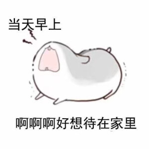 内容太过于真实