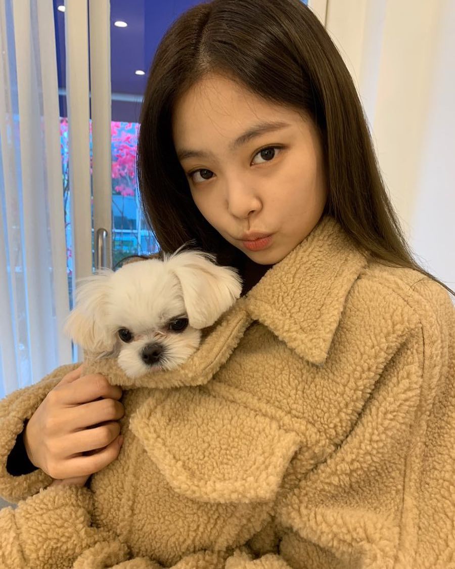 blackpink金智妮jennie