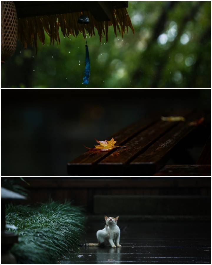 暮秋·空山新雨·灵谷胜境
cr:@薄荷绿-LINDA
#惊艳中国# ​