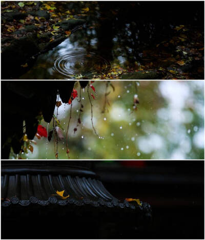 暮秋·空山新雨·灵谷胜境
cr:@薄荷绿-LINDA
#惊艳中国# ​