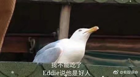 毒液