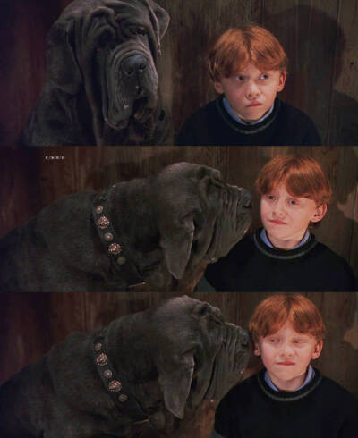 Harry Potter And The Philosopher's Stone/2001
Winter is coming❤