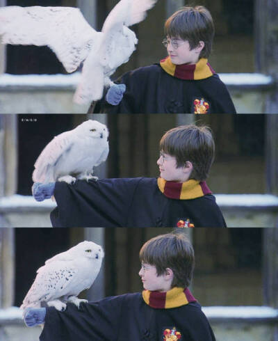 Harry Potter And The Philosopher's Stone/2001
Winter is coming❤