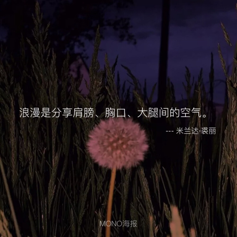 mono诗歌—米兰达·裘丽