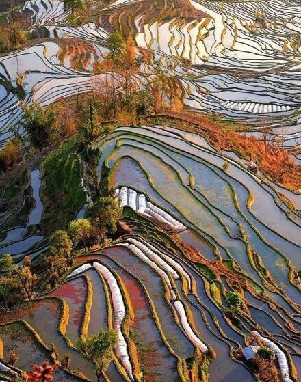 哈尼族的梯田是我见过的真正的大地艺术，真正的大地雕塑。