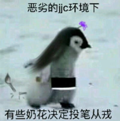 剑三表情包