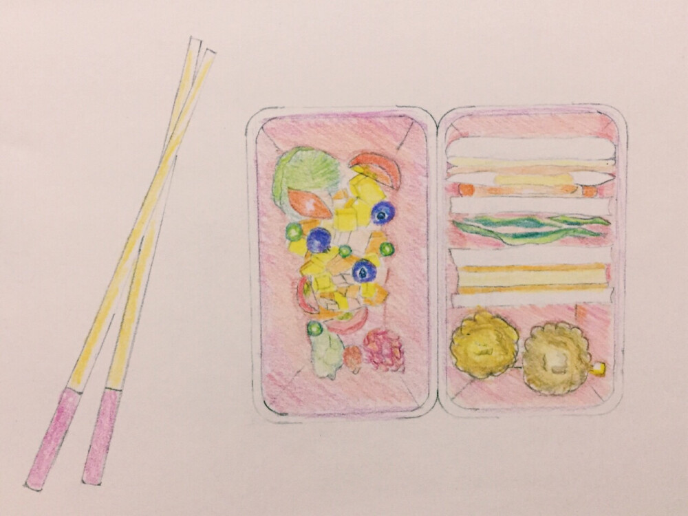 喜欢的便当盒彩铅