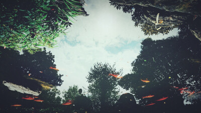 风景 壁纸 头像 聊天壁纸 背景墙 可二改