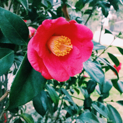 风景 壁纸 头像 聊天壁纸 背景墙 可二改