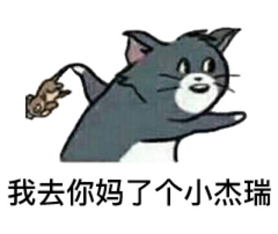 猫和老鼠