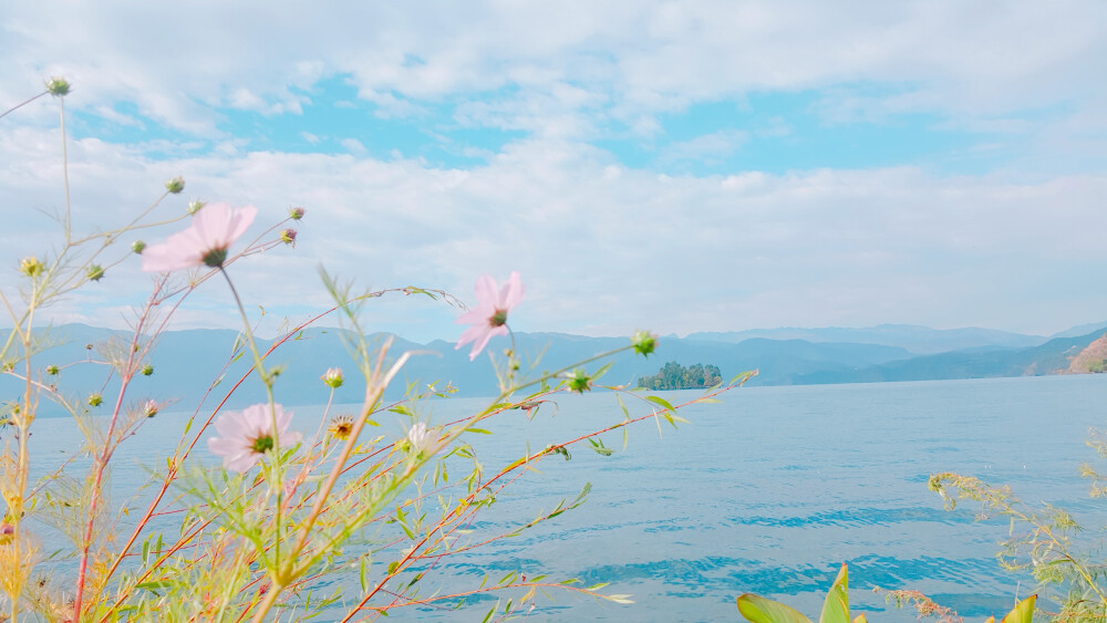 泸沽湖啊