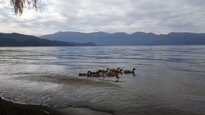 泸沽湖啊