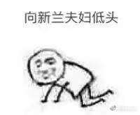 新兰