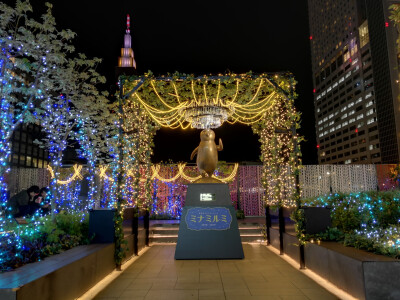 冬日夜幕下的新宿