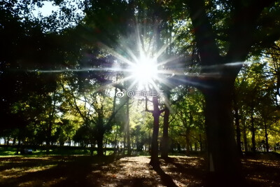 昆明还是一副秋天里夹杂着夏天的感觉
我很喜欢秋天
不只是因为变黄的银杏 微凉的天气
还有暖暖的烤红薯 炒板栗
最重要的 是在秋季里遇见的你吧