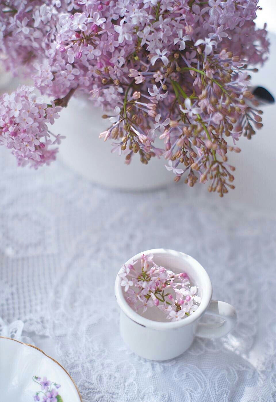 花与水